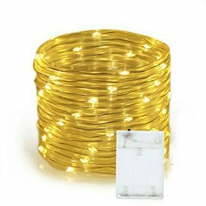 32.8ft Led Fairy String Lights